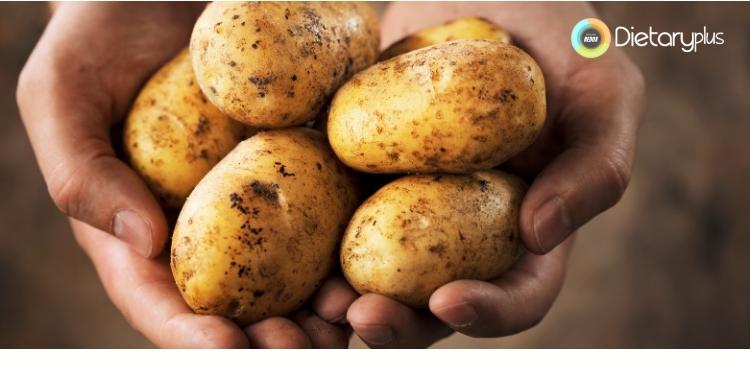 3 Alimentos Prebióticos y su Importancia para la Salud Digestiva Alimentos prebióticos para una Salud Digestiva Óptima