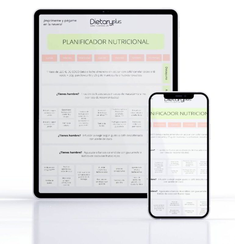 Plan de dieta Gratuito elaborado por Nutricionistas en Zaragoza