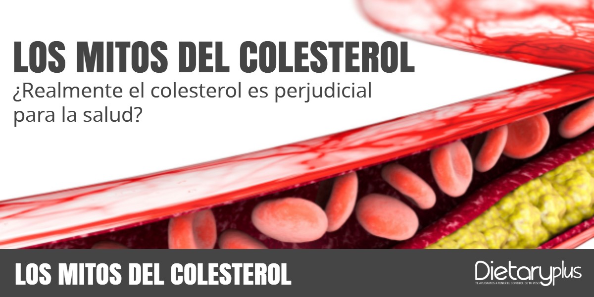 Hemos escuchado advertencias en los medios que hay que bajar el colesterol, vemos productos para reducir el colesterol, fármacos, consejos, alimentos… Por todos los sitios se escucha que hay que reducir el colesterol. ¿Realmente el colesterol es perjudicial para la salud?