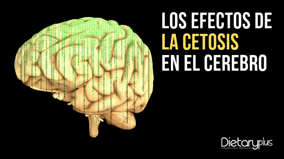 Beneficios para el cerebro cuando estamos en cetosis