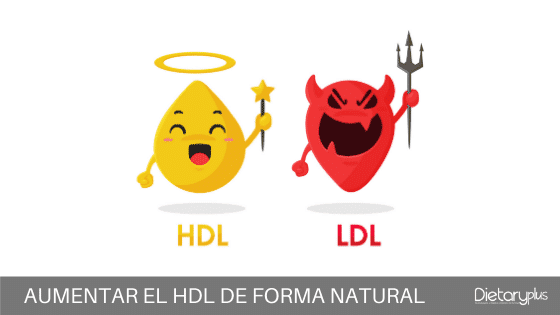 Como aumentar el HDL de forma natural