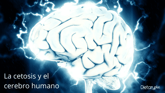 La cetosis y el cerebro humano
