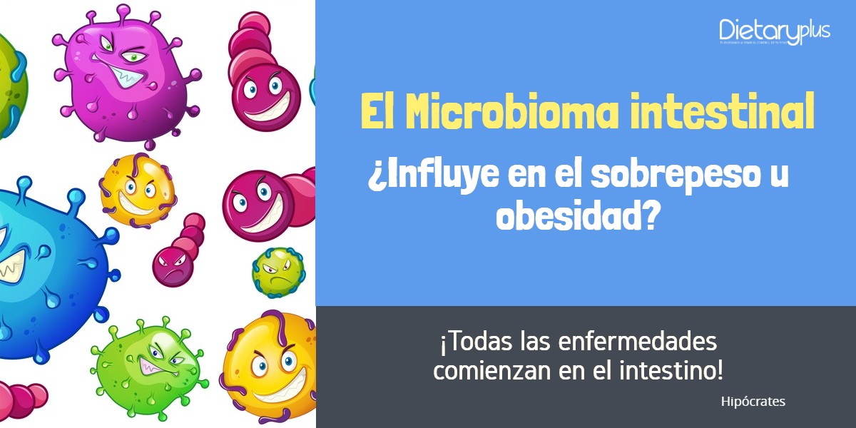 El microbioma intestinal