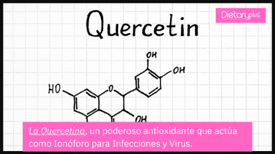 La Quercetina, un antioxidante poderoso que actúa como Ionóforo para infecciones y virus.